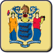 New Jersey State Flag Icon